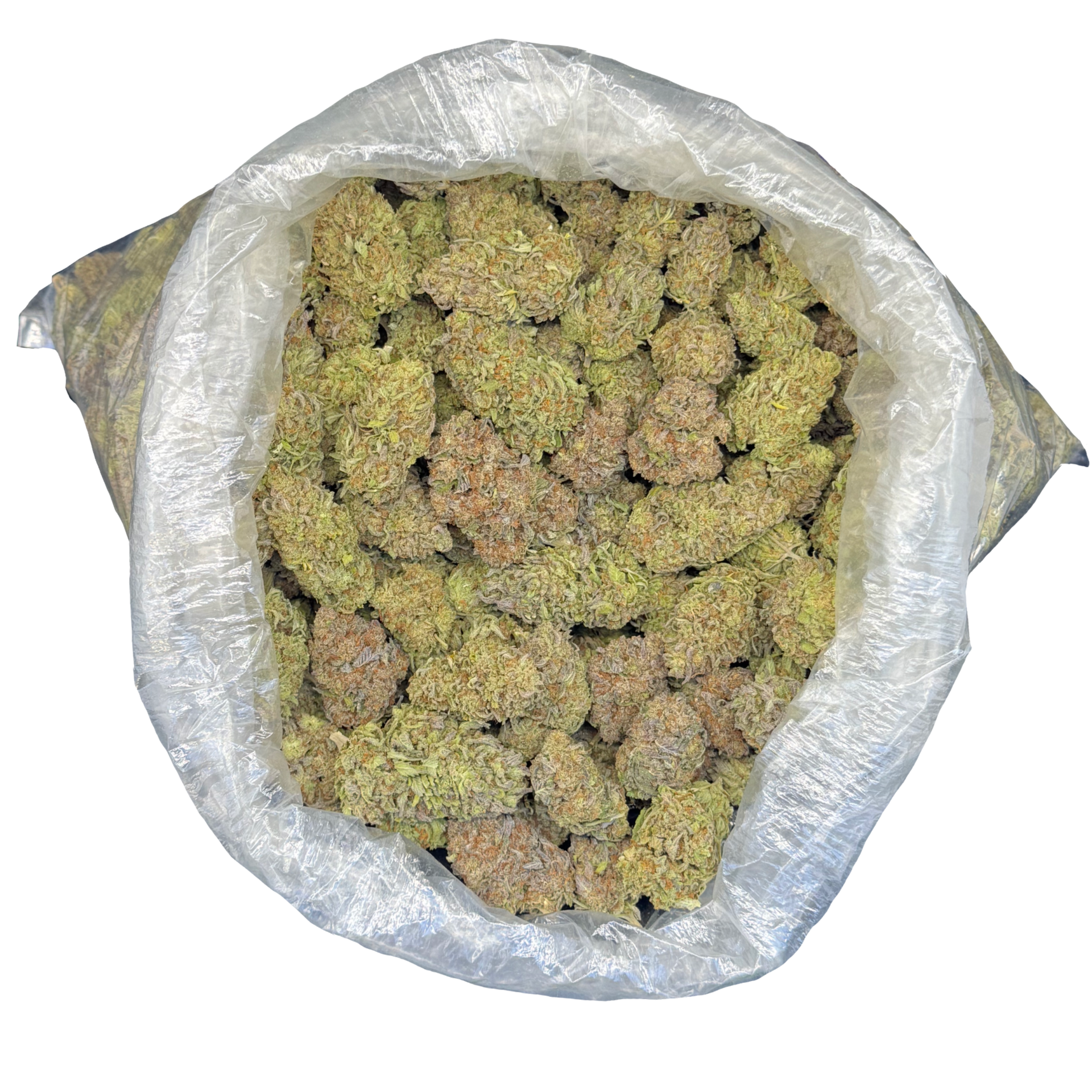 HASH BURGER EXOTIC INDOOR THCA FLOWER