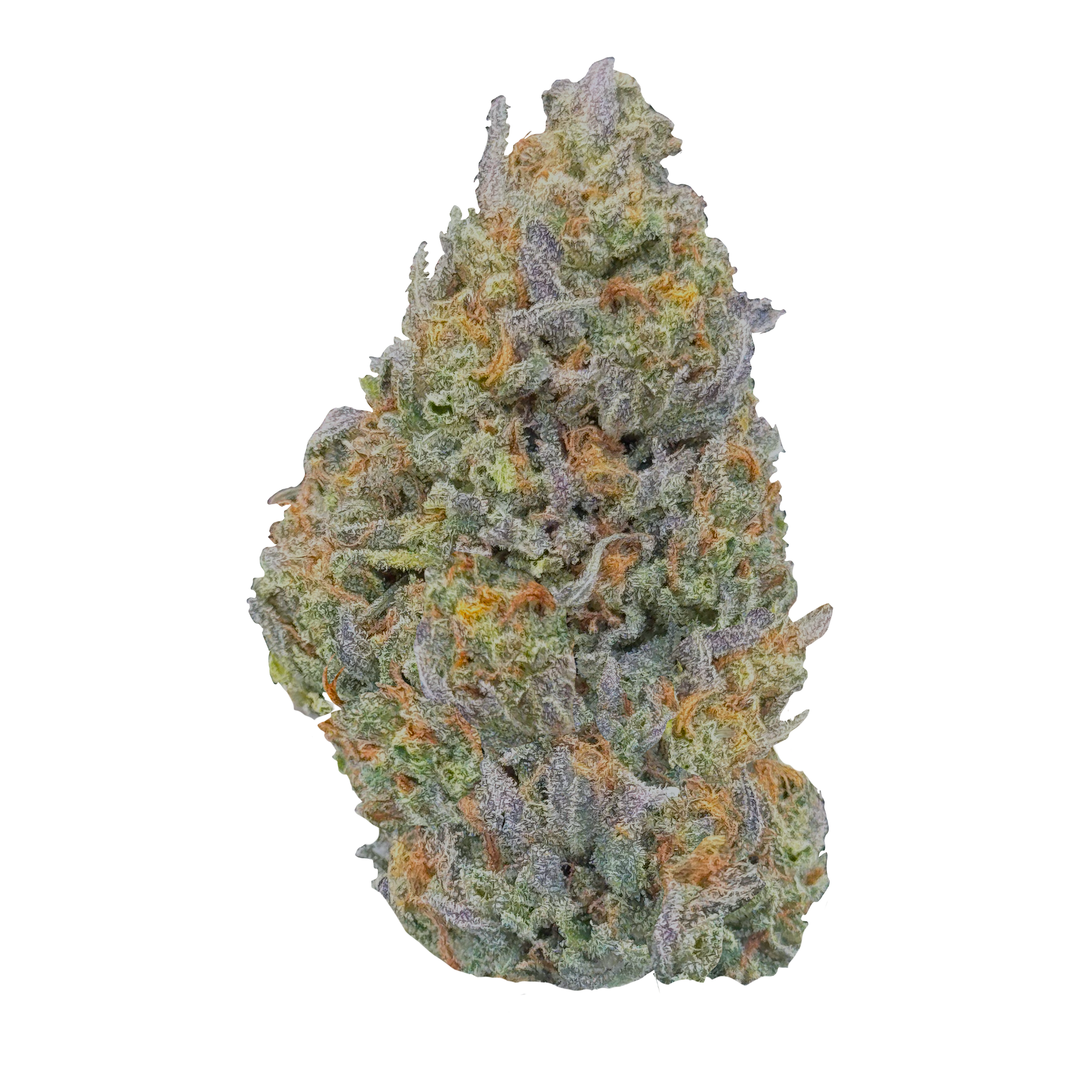 HASH BURGER EXOTIC INDOOR THCA FLOWER